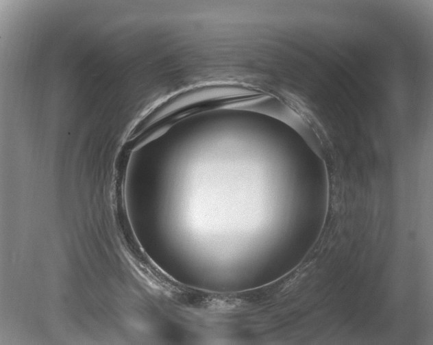 X0000080120346200612151718