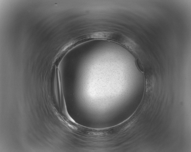 X0000080120349200612151718