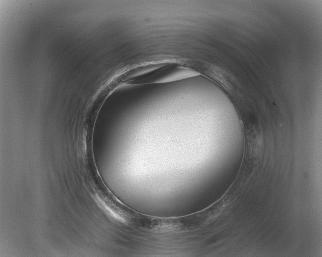 X0000080120350200612151718