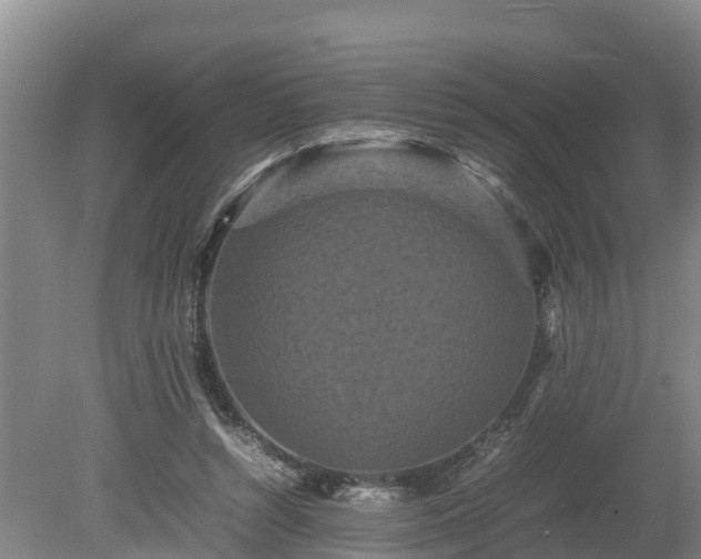 X0000080120352200612151718