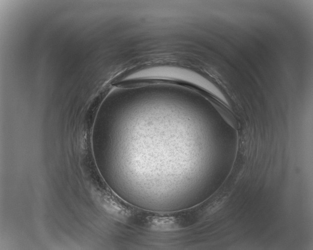 X0000080120355200612151718
