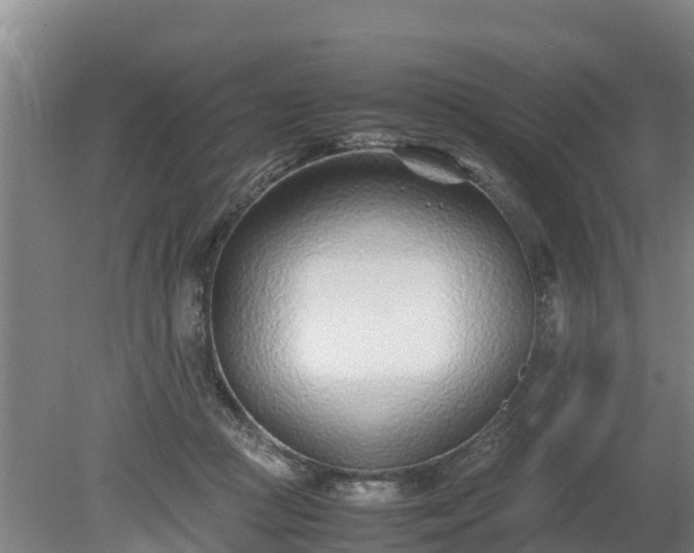 X0000080120361200612151718