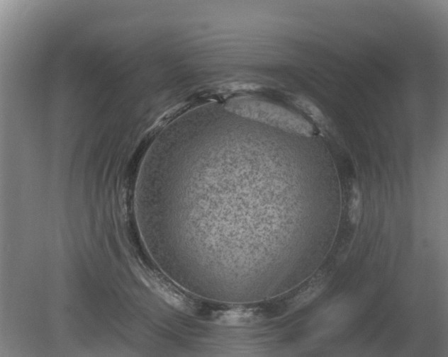 X0000080120366200612151719