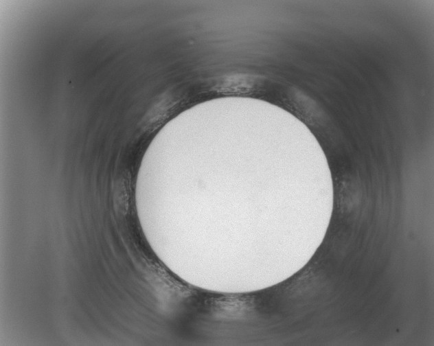 X0000080120370200612151719