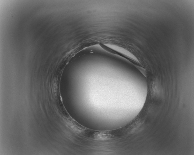 X0000080120372200612151719