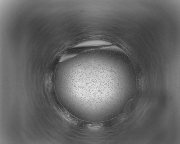 X0000080120373200612151719
