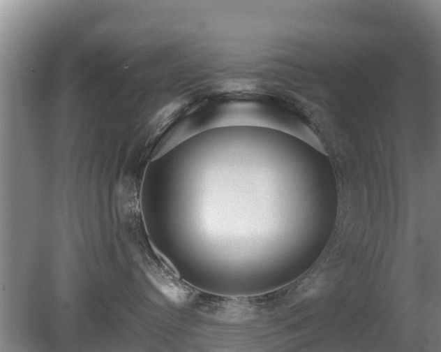 X0000080120384200612151719