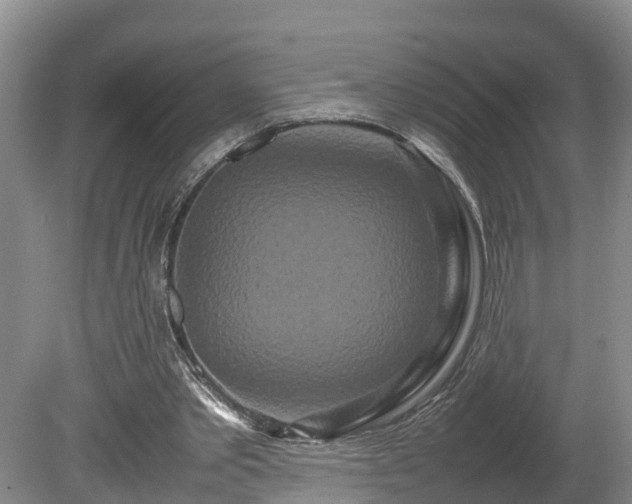 X0000080120389200612151718