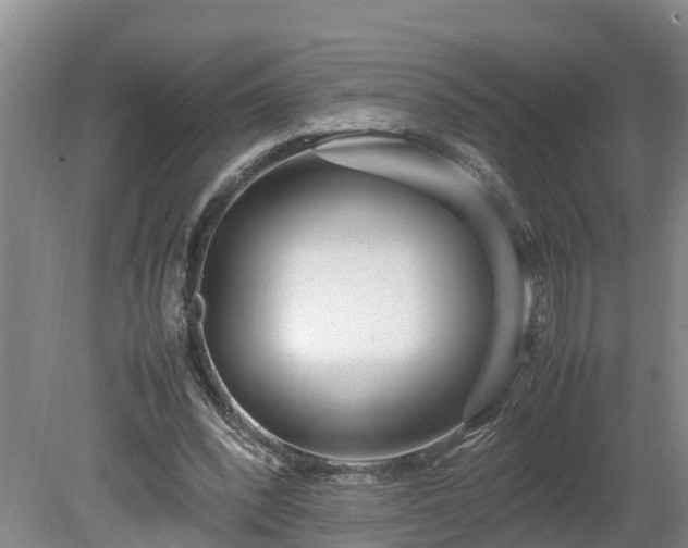 X0000080120392200612151718