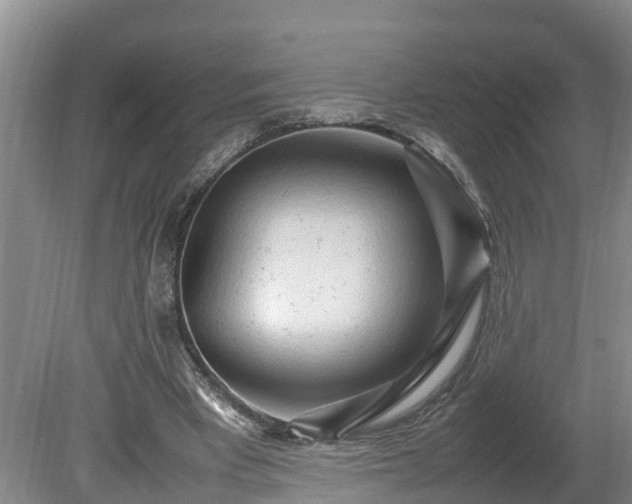 X0000080120393200612151718