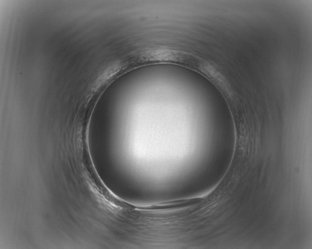 X0000080120394200612151718