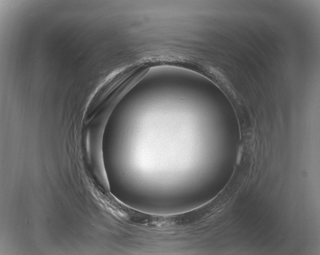 X0000080120395200612151718