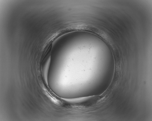 X0000080120397200612151718