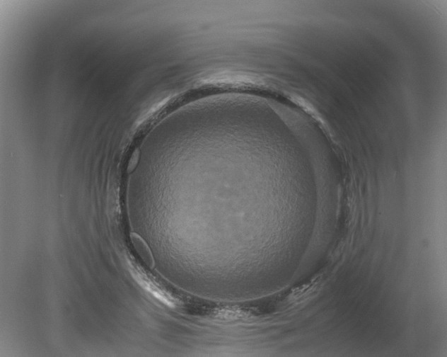X0000080120399200612151718