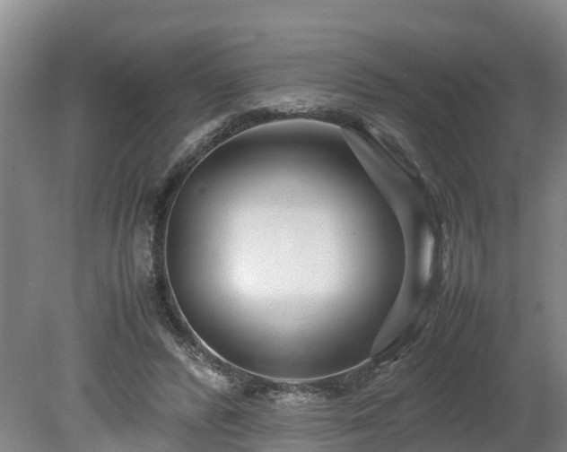 X0000080120400200612151718