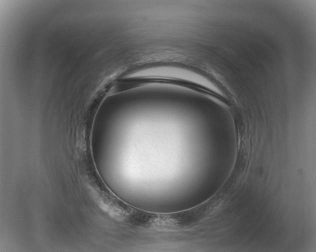 X0000080120403200612151718