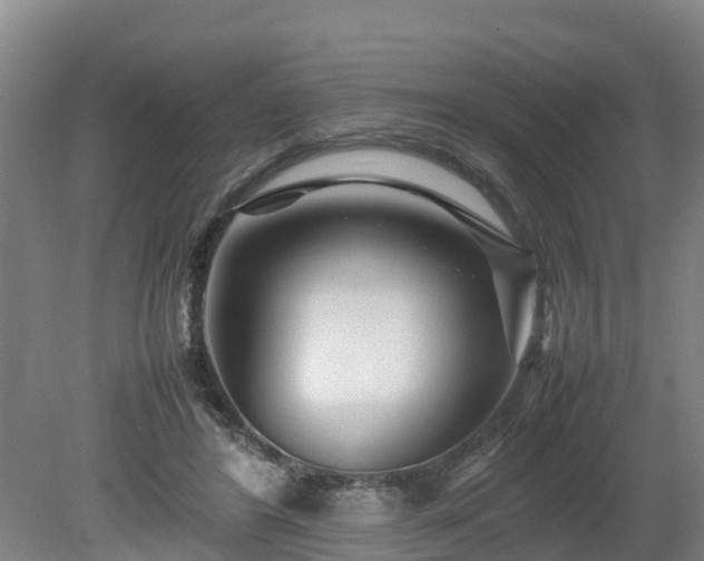 X0000080120404200612151718