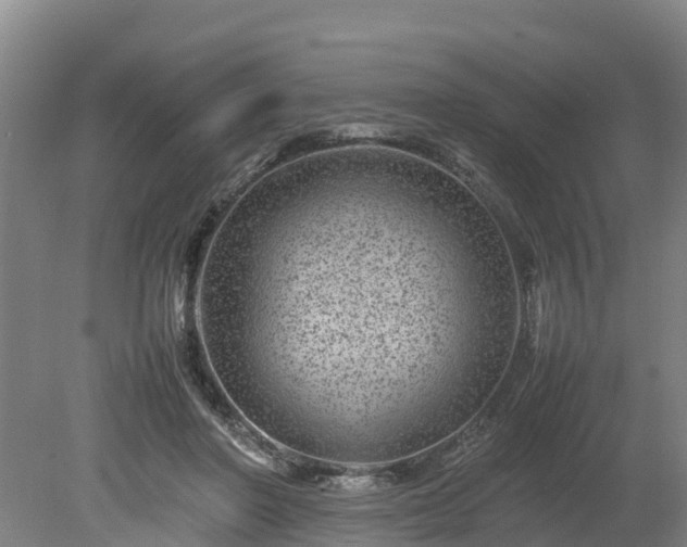 X0000080120406200612151718