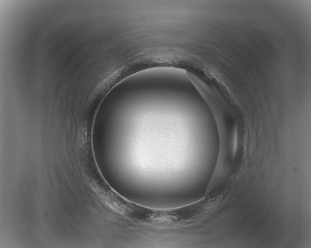 X0000080120407200612151718