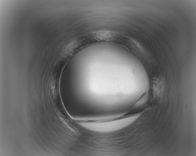 X0000080120408200612151718