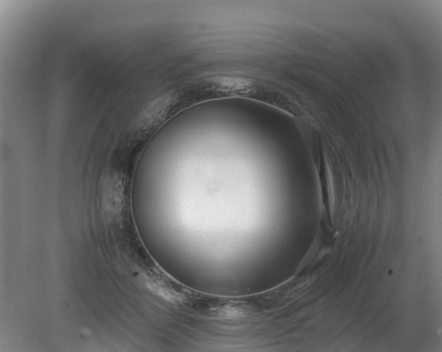 X0000080120412200612151718