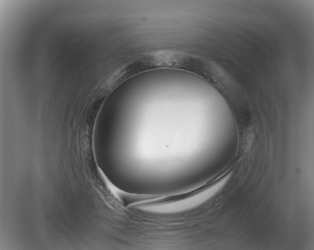 X0000080120413200612151718