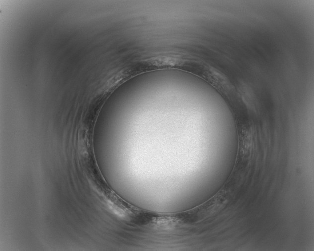 X0000080120414200612151718