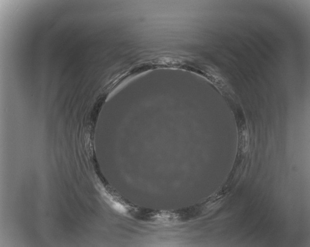X0000080120415200612151718
