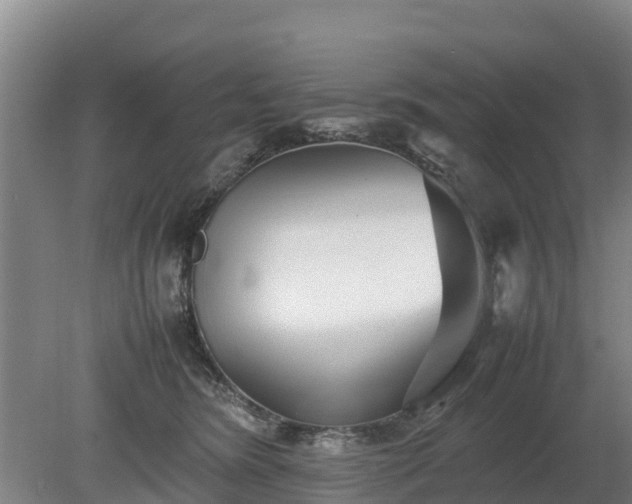 X0000080120420200612151717