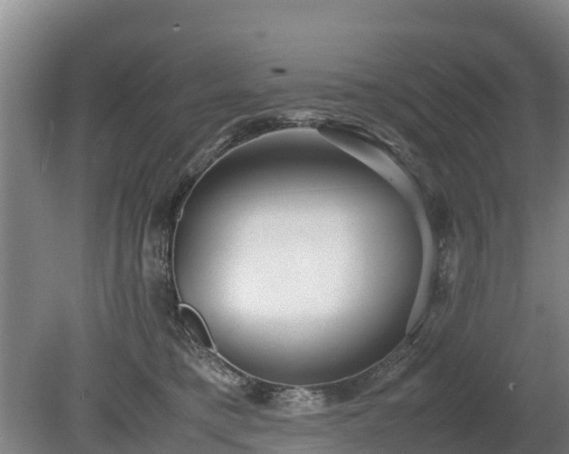 X0000080120421200612151717