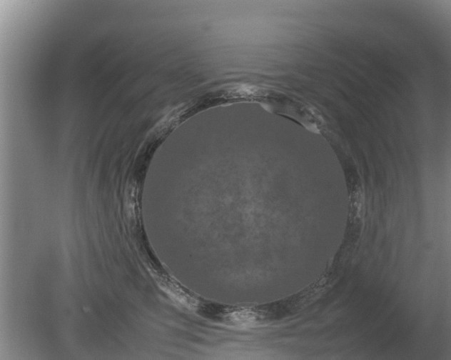 X0000080120423200612151717