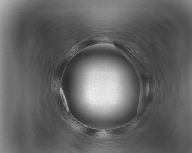 X0000080120425200612151717
