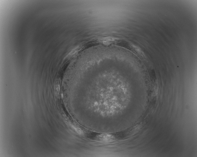 X0000080120427200612151717