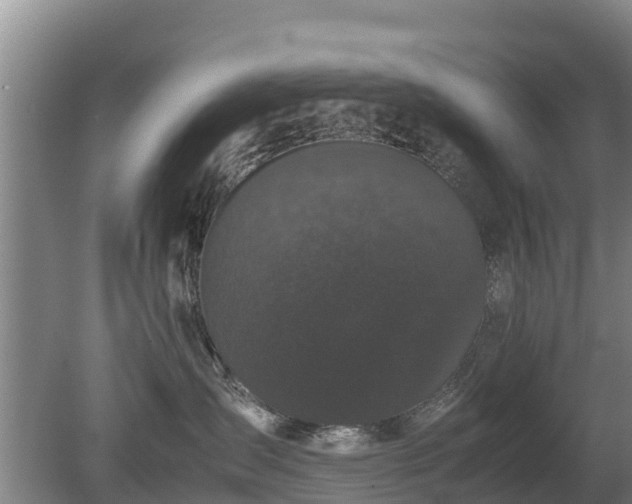 X0000080120431200612151717