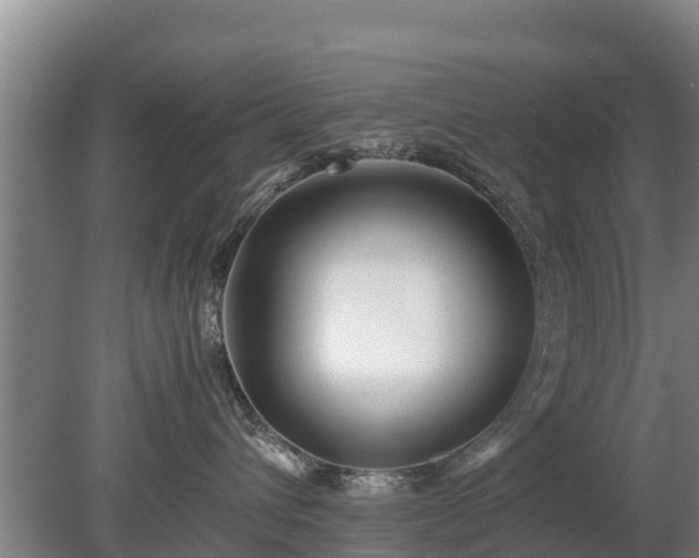 X0000080120432200612151717