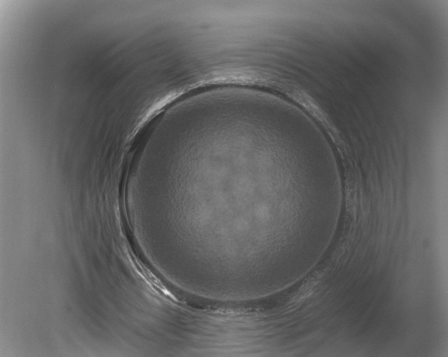X0000080120434200612151716