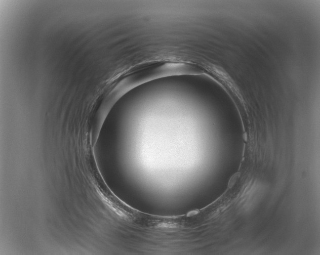 X0000080120441200612151717