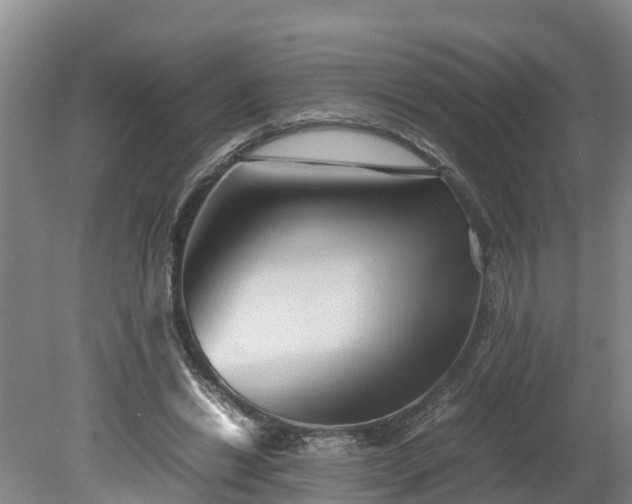 X0000080120446200612151717