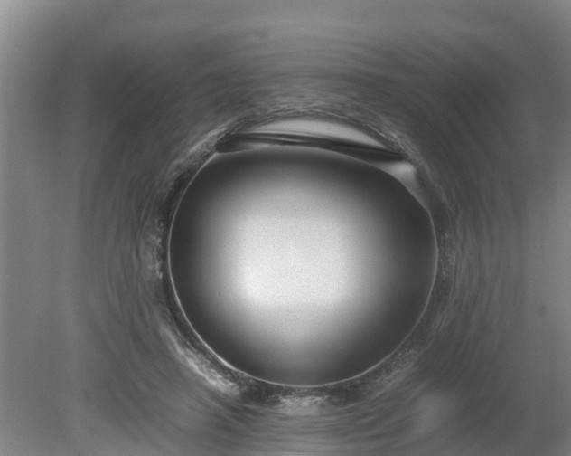 X0000080120450200612151717