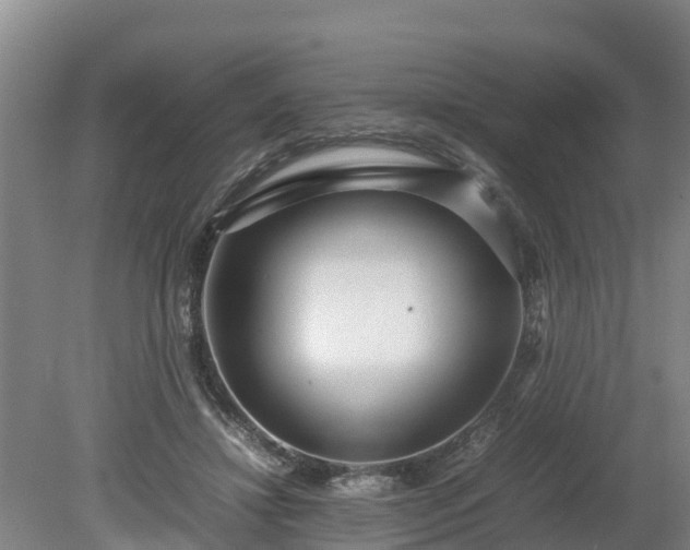 X0000080120452200612151717