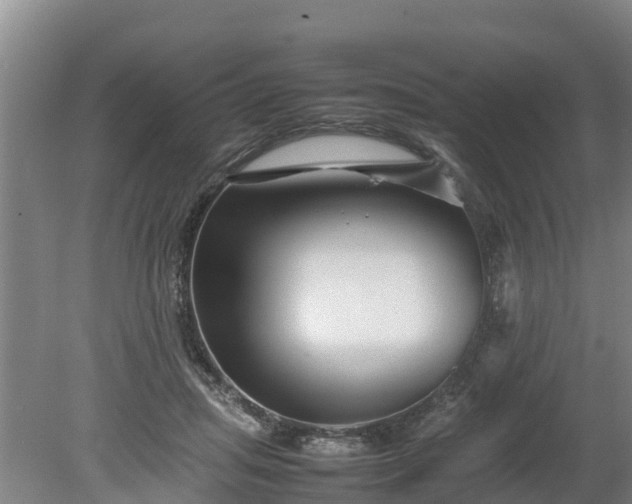 X0000080120455200612151717