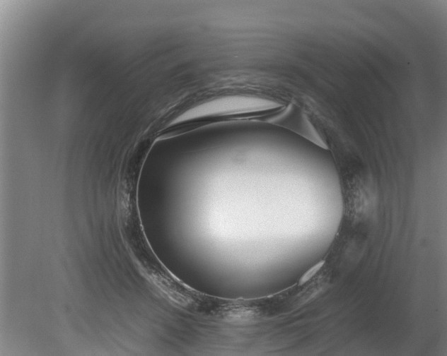 X0000080120456200612151717