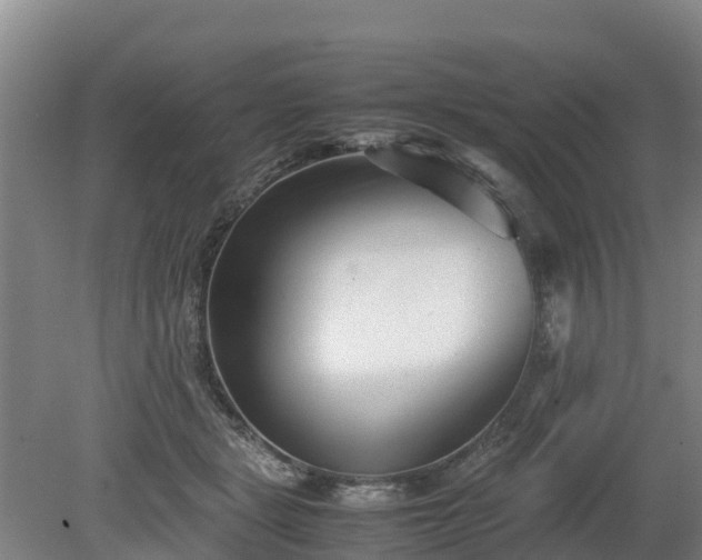 X0000080120461200612151717