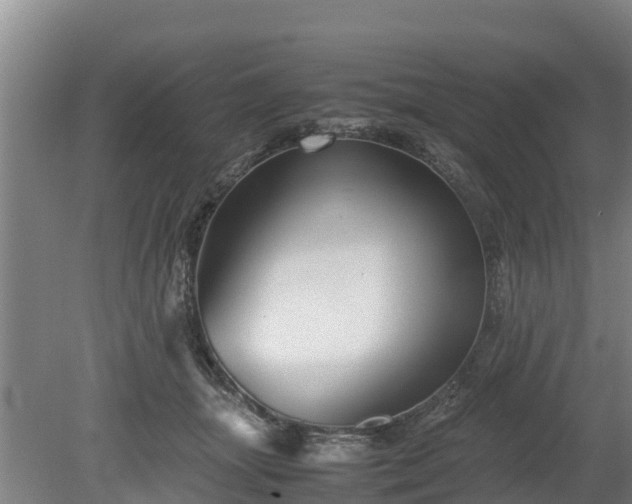 X0000080120463200612151717