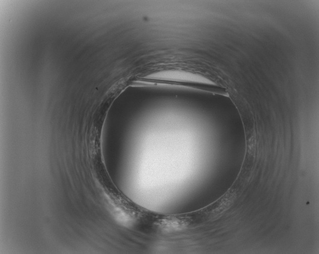 X0000080120464200612151717