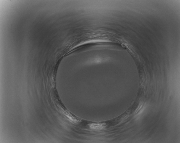X0000080120465200612151717