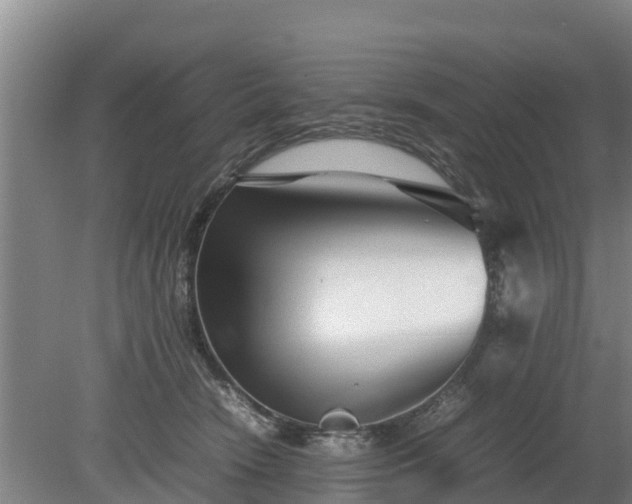 X0000080120466200612151717