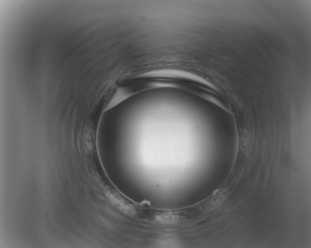 X0000080120470200612151717