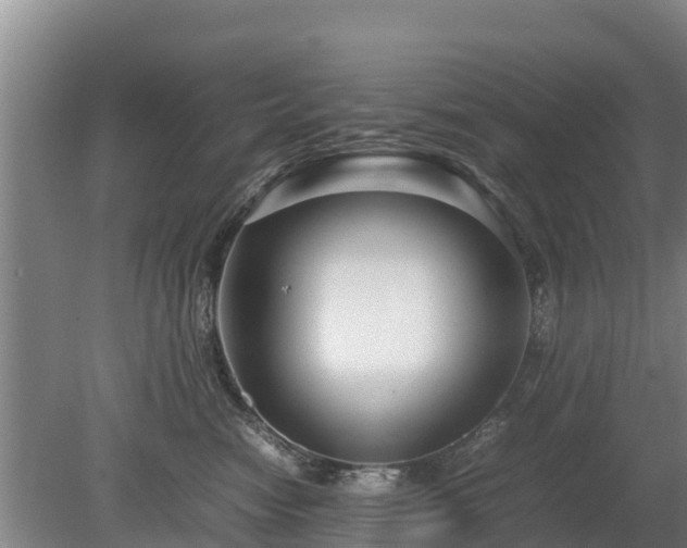X0000080120474200612151717