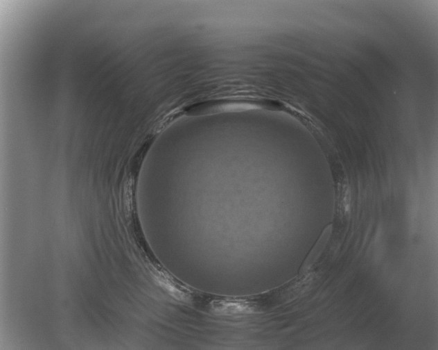 X0000080120475200612151717